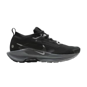 Nike Wmns Pegasus Trail 5 5 GORE-TEX 'Noir Gris Loup 'Noir/Gris froid/Anthracite/Gris loup FQ0912 001