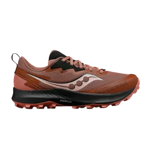 Baskets Saucony Wmns Peregrine 14 GORE-TEX 'Clove Black' Carnation/Black S10918 120