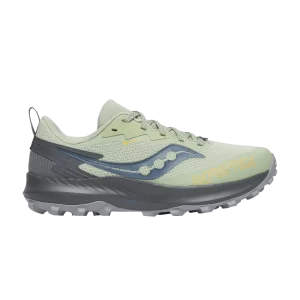 Baskets Saucony Wmns Peregrine 14 GORE-TEX 'Sage Carbon' Sage/Carbon S10918 253