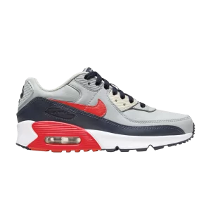 Nike Air Max 90 Leather GS 'Light Smoke Bright Crimson' Gris fumée clair/Obsidienne foncé/Ghost/Cramoisi brillant CD6864 021