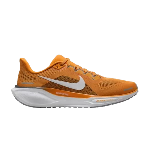 Nike Air Zoom Pegasus 41 'Tennessee' Céramique Brillante/Blanc/Gris Fer/Blanc FZ5144 800