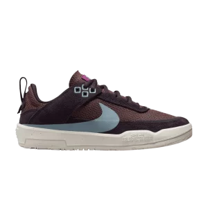 Nike Day One SB GS 'Burgundy Ash Denim Turquoise' Bourgogne Ash/Poney foncé/Voile/Denim Turquoise FN4210 600