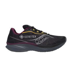 Baskets Saucony Kinvara 15 GORE-TEX 'Black Shadow' Noir/Shadow S20969 250