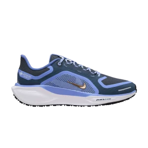 Nike Wmns Air Zoom Pegasus 41 GORE-TEX 'Cobalt Bliss' Cobalt Bliss/Armor Fleet/Royal Pulse/Bronze rouge métallique FQ1357 400