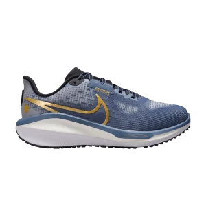 Nike Wmns Vomero 17 Wide 'Diffused Blue Metallic Gold' Bleu diffus/Ash Slate/Blanc/Or métallique FN7998 400