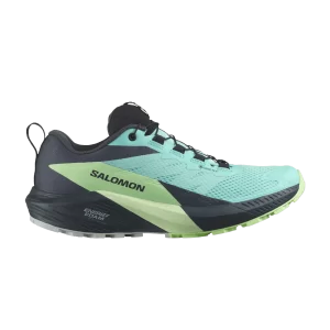 Salomon Wmns Sense Ride 5 GORE-TEX 'Blue Radiance India Ink' Bleu Glow/Ash Green/Indian Ink L47216000