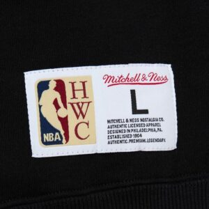 Mitchell & Ness Noir Toronto Raptors Tonal Logo Sweat à capuche en molleton épais Noir 1551182