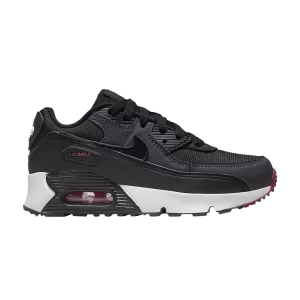 Nike Air Max 90 Leather PS 'Noir Team Red' Anthracite/Rouge équipe/Blanc sommet/Noir CD6867 022