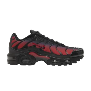 Nike Air Max Plus GS 'Bred Gradient' Rouge Université/Noir FB8024 600