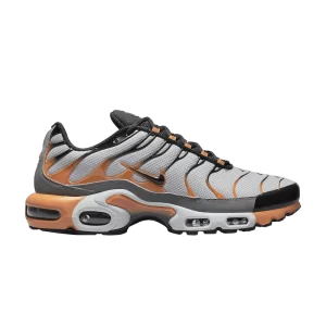 Nike Air Max Plus 'Wolf Grey Hot Curry' Gris loup/Noir/Gris froid/Curry épicé DM0032 001