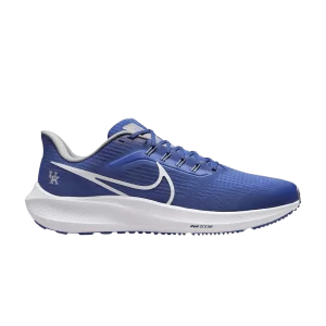 Nike Air Zoom Pegasus 39 'Kentucky' Team Royal/Team Royal/Team Pewter/Blanc DR1963 400