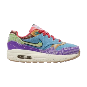 Nike Concepts x Air Max 1 SP PS 'Far Out' Multicolore/Multicolore/Voile DR2362 100