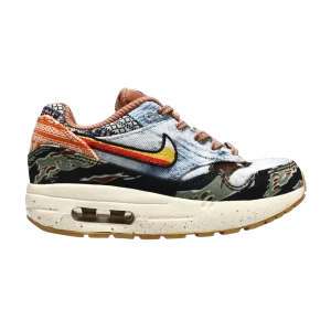 Nike Concepts x Air Max 1 SP PS 'Heavy' Multicolore/Violet Sauvage/Multicolore/Voile DR2362 700