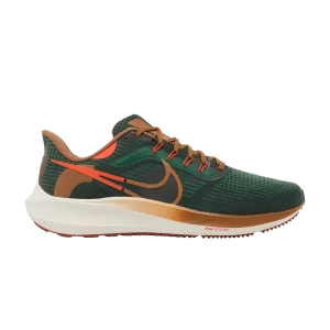 Nike Hola Lou x Air Zoom Pegasus 39 'A.I.R.' Vert Gulch/Orange équipe/Ghost/Brown Ale DO9500 300