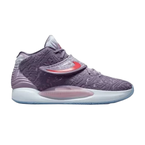 Nike KD 14 NRG EP 'Valentine's Day' Baskets Multicolore/Multicolore DJ4335 900