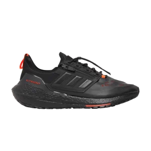 adidas UltraBoost 21 GORE-TEX 'Carbon Solar Red' Carbone/Noir/Rouge Solaire FZ2555