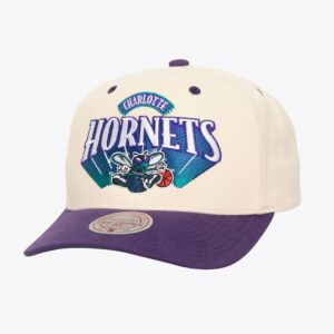 Mitchell & Ness Crème Charlotte Hornets Hardwood Classics Horizon Pro Crown Snapback Chapeau Crème 1592216