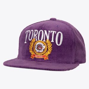 Mitchell & Ness Violet Toronto Raptors Hardwood Classics Levelz Snapback Chapeau Violet 1593396