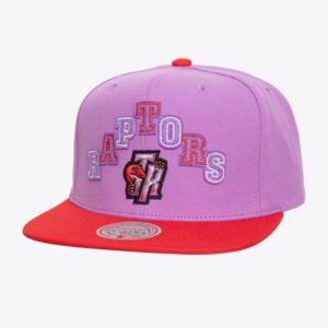 Mitchell & Ness Violet Toronto Raptors Hardwood Classics Uprise Snapback Chapeau Violet 1592534